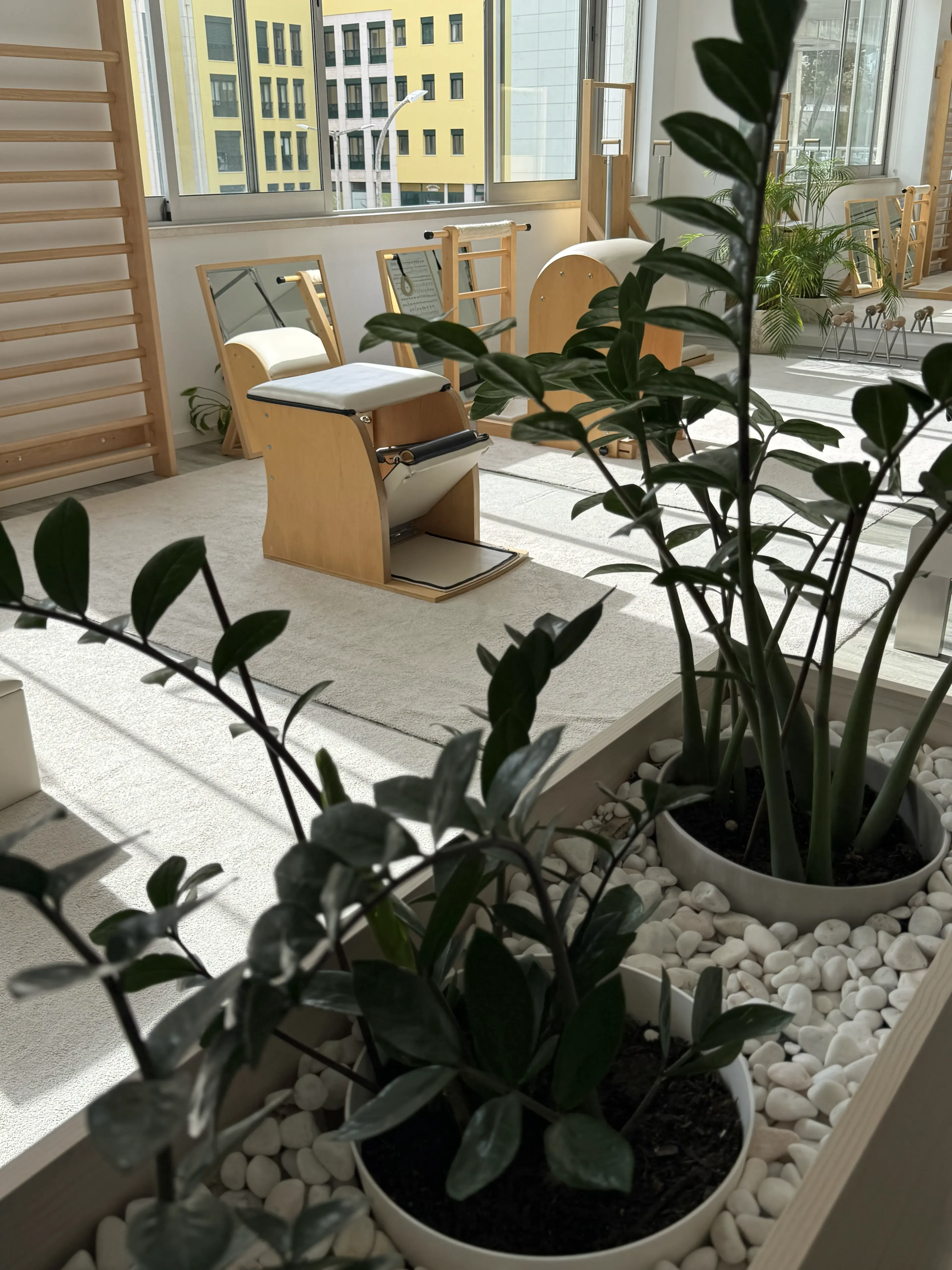 Sala do NBK Pilates Estúdio com aparelhos e plantas em Leiria